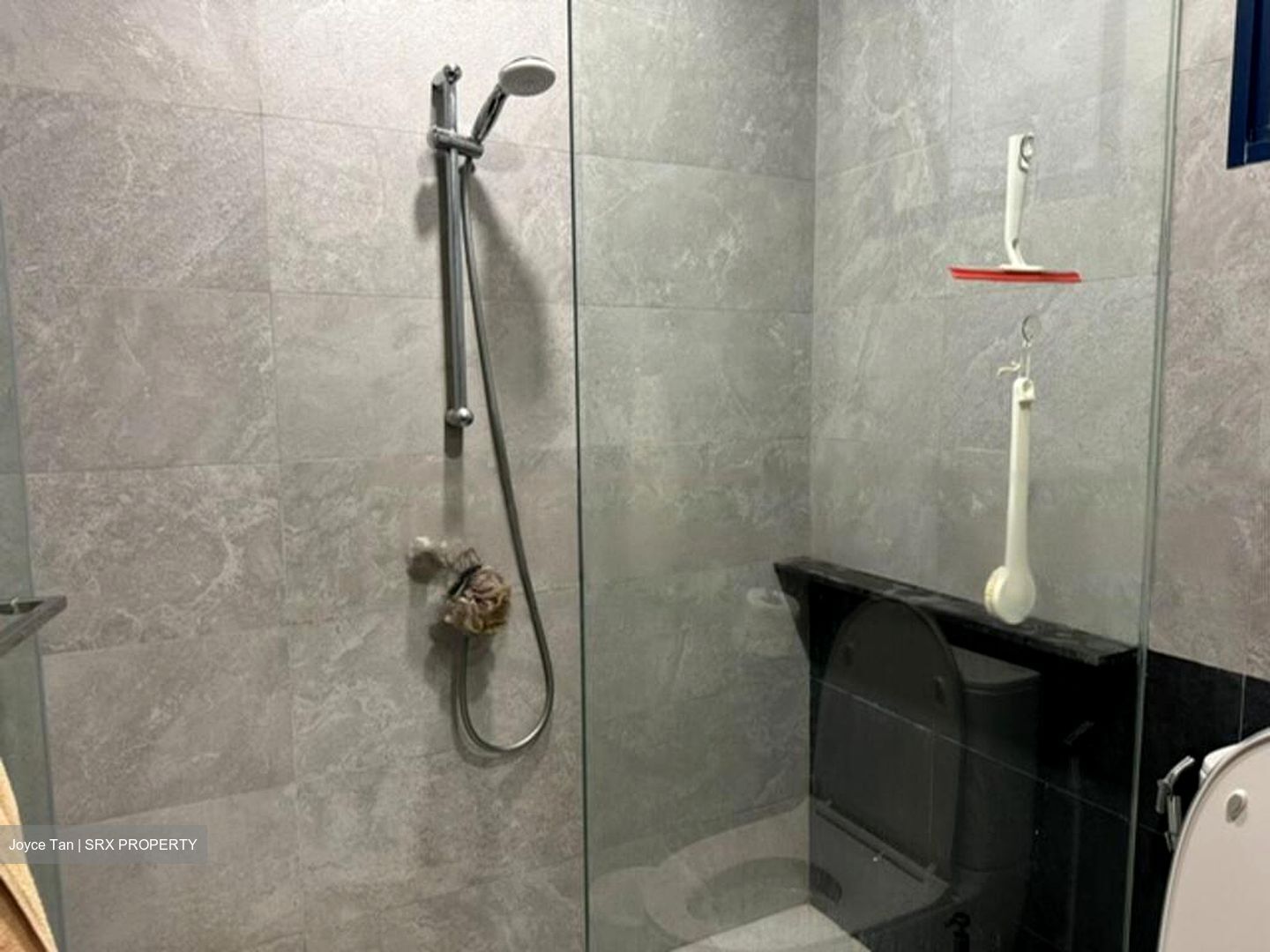 Nineteen Shelford Road (D11), Condominium #447063131